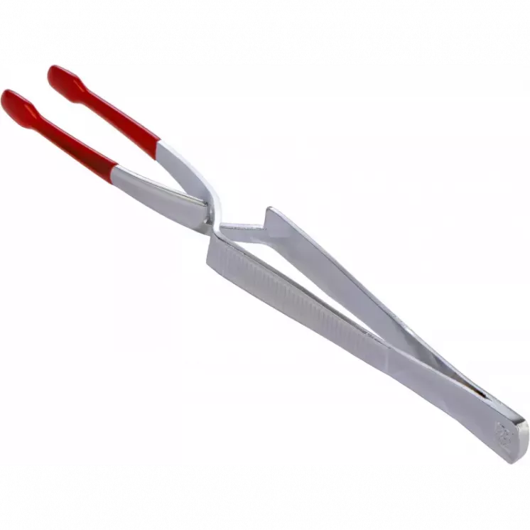 Pinza para monedas